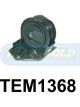 Transgold Engine Mount Rear