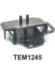 Transgold Engine Mount Left