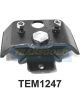 Transgold Engine Mount Rear M/T