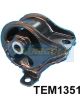 Transgold Engine Mount Right Fits Honda Civic Ej 3/99-On 1.6L AT/MT
