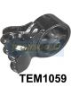 Transgold Engine Mount Rear