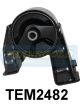 Transgold Engine Mount Rear