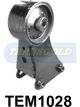 Transgold Engine Mount Rear