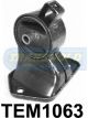 Transgold Engine Mount For Hyundai Sonata