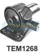 Transgold Engine Mount For Magna Tr 4 91-3 94 V6 3.1L -Side RH Auto/Man