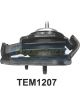 Transgold Engine Mount Front