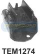 Transgold Engine Mount Rear