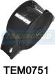 Transgold Engine Mount Rear MT