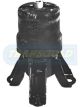Transgold Engine Mount Front A/T