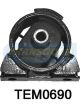 Transgold Engine Mount Rear