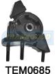 Transgold Engine Mount Rear