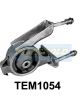Transgold Engine Mount Rear