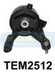 Transgold Engine Mount Rear