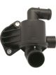 Tridon Thermostat