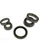 BWS Wheel Bearing Kit
