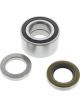 BWS Wheel Bearing Kit