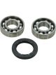 BWS Wheel Bearing Kit