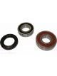 BWS Wheel Bearing Kit
