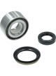 BWS Wheel Bearing Kit