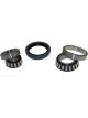 BWS Wheel Bearing Kit