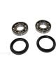 BWS Wheel Bearing Kit