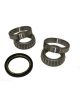 BWS Wheel Bearing Kit