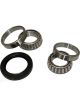 BWS Wheel Bearing Kit