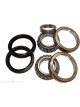 BWS Wheel Bearing Kit