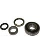 BWS Wheel Bearing Kit