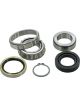 BWS Wheel Bearing Kit