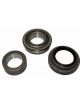 BWS Wheel Bearing Kit