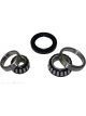 BWS Wheel Bearing Kit