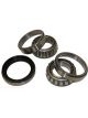 BWS Wheel Bearing Kit