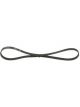 Bosch Ribbed V-Belt