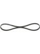 Bosch Ribbed V-Belt