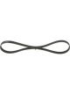 Bosch Ribbed V-Belt