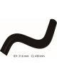 Dayco Moulded Radiator Hose
