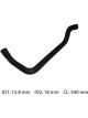 Dayco Moulded Radiator Hose