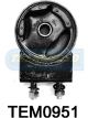 Transgold Engine Mount