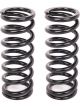 Aldan American Coil Spring Coil-Over 2.500
