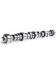 Cam Motion LS Hyd Roller Cam 3-Bolt .586 /.578 112°