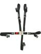 Impact Racing Harness 5 Point Latch & Link Bolt-On Wrap Around 2