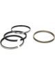 Mahle Engine Piston Kit, 4.055'' +.005'' 1.0mm, 1.0mm,