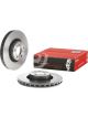 Brembo Disc Brake Rotor (Single) 321mm