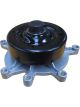 Dayco Water Pump
