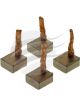 Jaylec Brush Set N/Denso Late 4pcs 6.5 x 13 x 14mm 9205