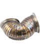 Aeroflow Dump Pipe 3