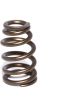 Comp Cams Valve Spring Race Street 1.590 in. OD Beehive 2.000 in. Inst