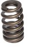 Comp Cams Valve Spring Beehive Style 1.240 in. OD 1.700 in. Installed