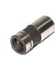 Comp Cams Lifters Mechanical Flat Tappet Chevrolet Small Block Ford 302-